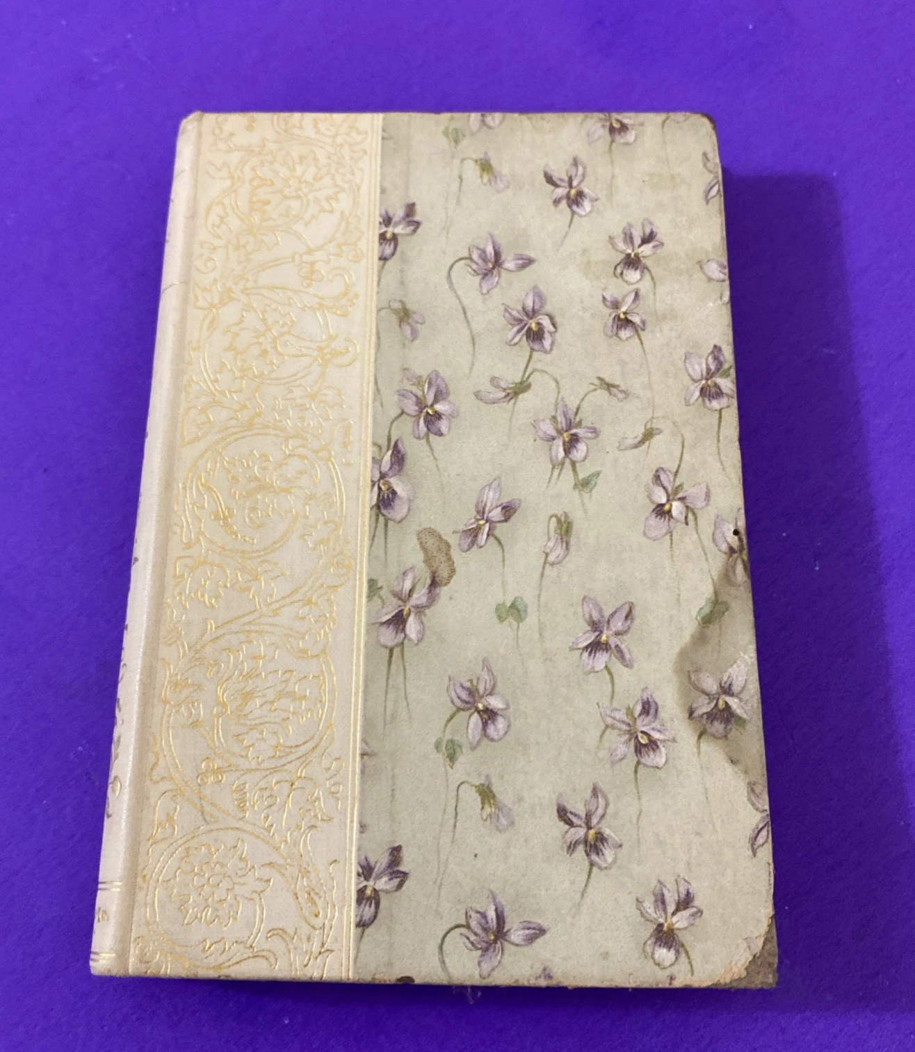 1892-1893 Lady of the Lake Walter Scott Crowell Victorian Floral Gift Binding HC