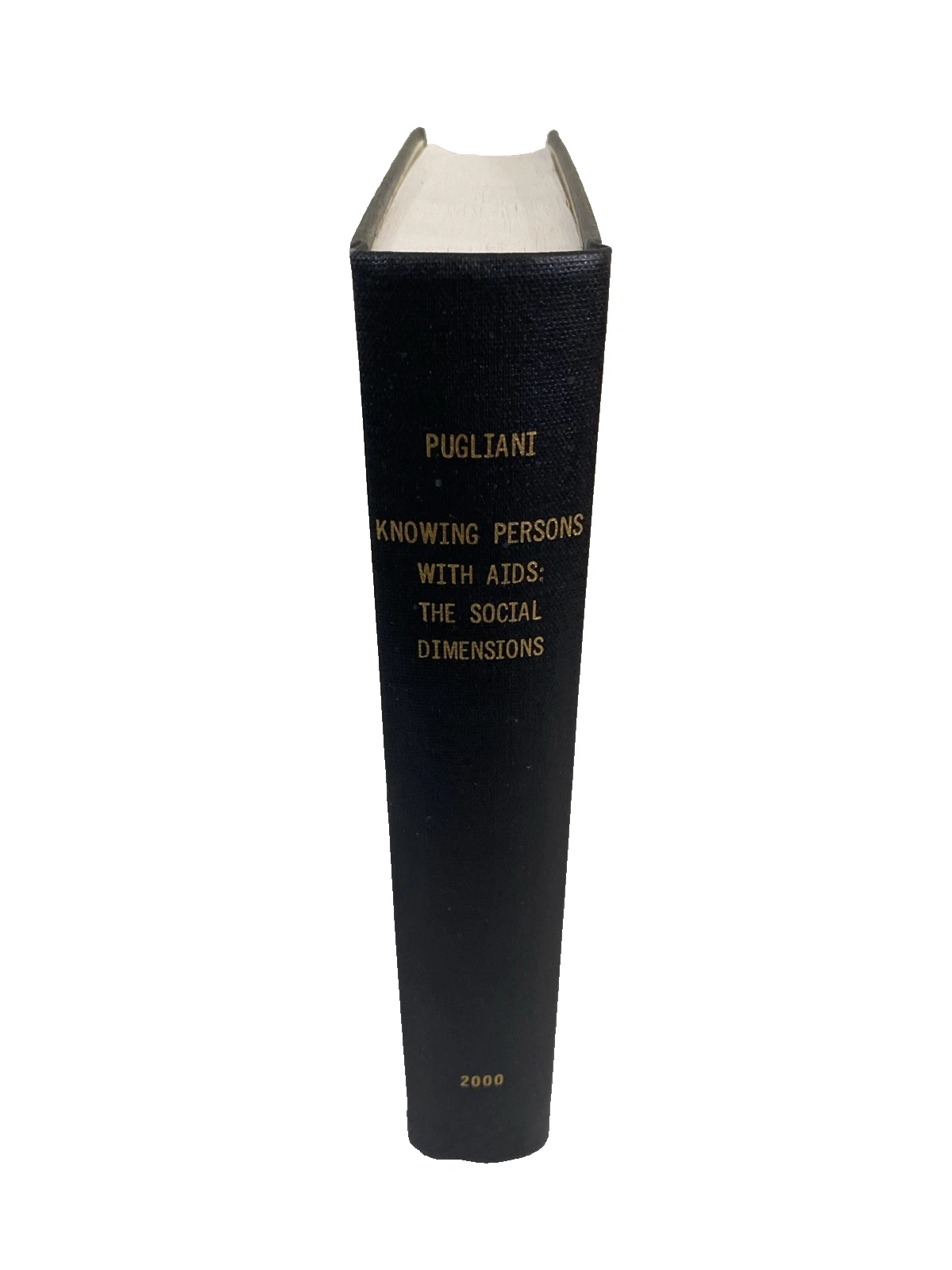 Knowing Persons With AIDS Social Dimensions Pugliani 2000 PhD Diss HC 298p 9x11+ - Image 2