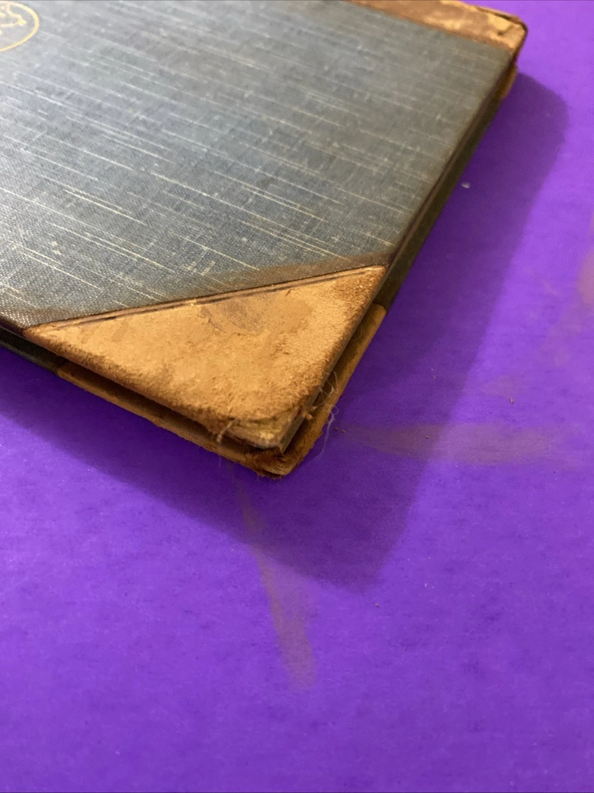c1889 Trench English Past and Present Humboldt Library Half Leather Antique Book - Image 5