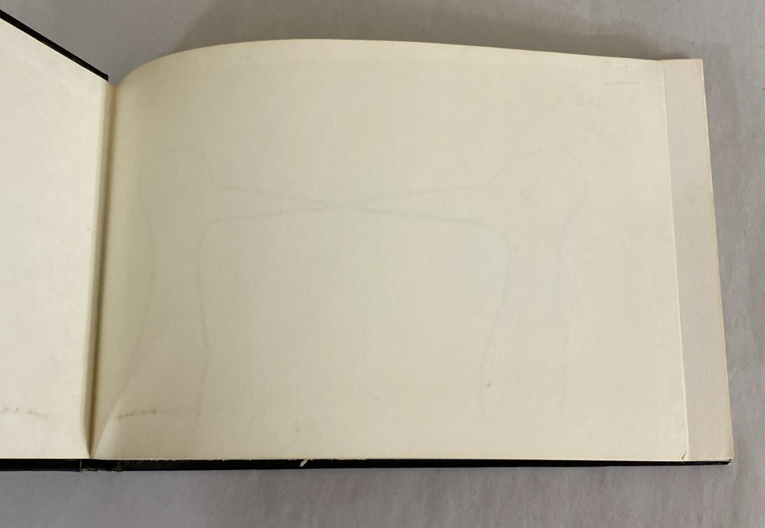 1969 Birds Robert Jay Lifton first printing Random House humor cartoon book rare - Image 4