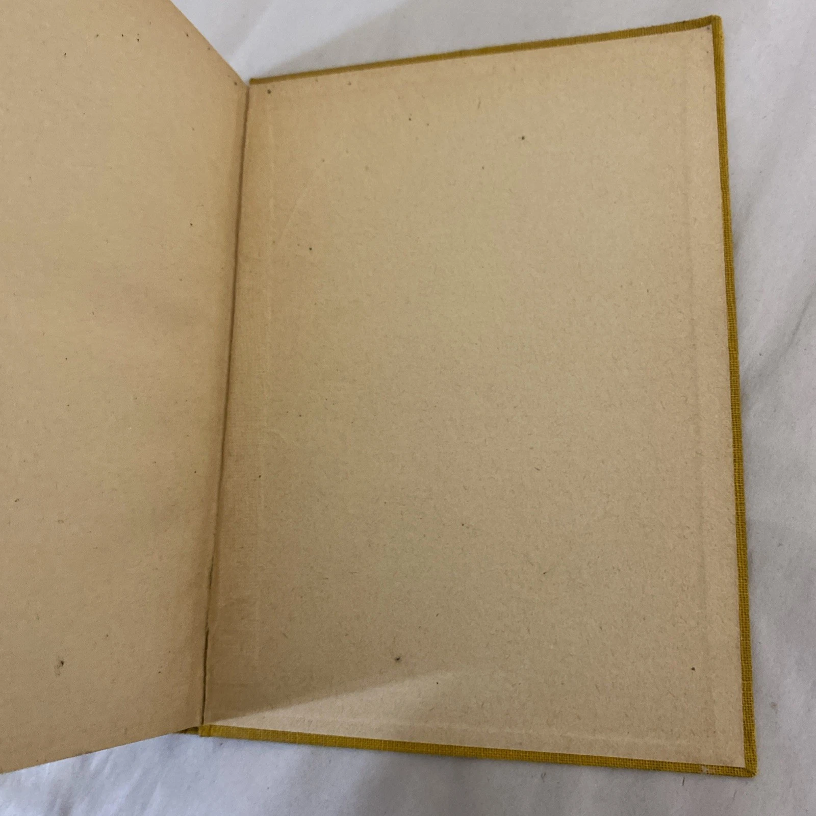 1929 80 Let T.G. Masaryka Jaromir Dolezal Czech Book Masaryk Prague - Image 8