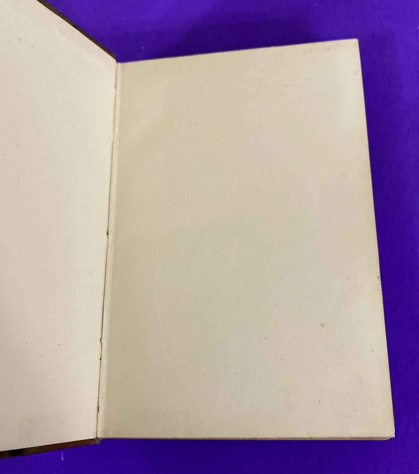 1901 Sienkiewicz Rodina Polanieckých Czech Antique Books Vol I & III - Image 4