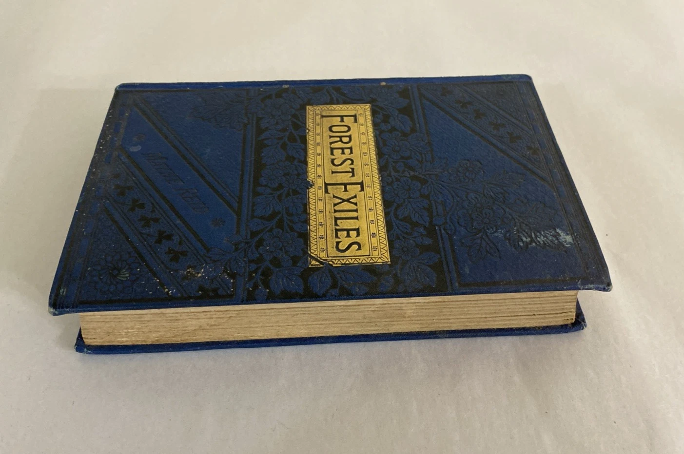 Forest Exiles Mayne Reid 1889 Lovell Victorian blue gilt boys adventure - Image 5