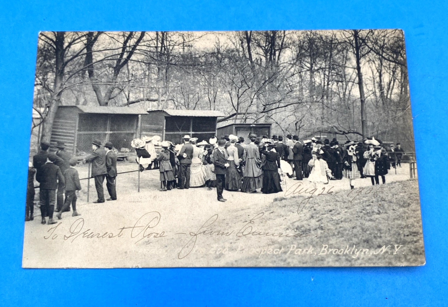 1908 Prospect Park Menagerie Brooklyn NY Rotograph D106 Zoo Postcard 1c Franklin