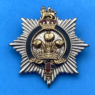 Rare Prince of Wales Feathers RMIG-Style Enamel Pin British Heraldic Brooch