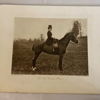 The Late Countess Howe by Hills & Saunders Eton on Horse for Fox Hunt