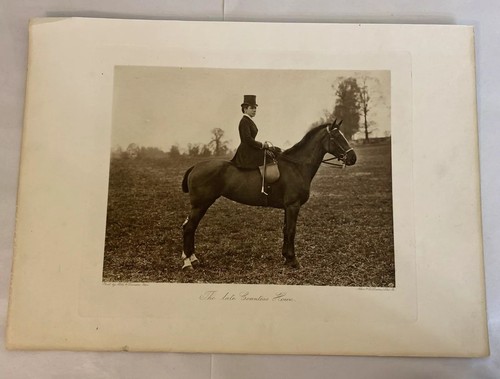 The Late Countess Howe by Hills & Saunders Eton on Horse for Fox Hunt