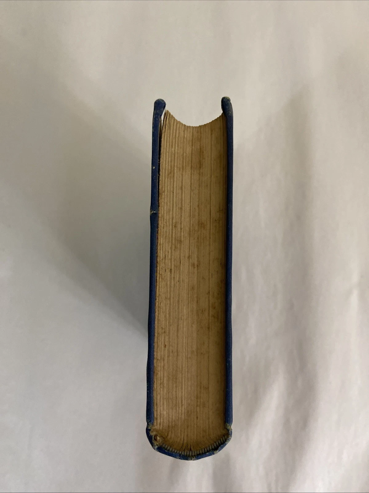 Forest Exiles Mayne Reid 1889 Lovell Victorian blue gilt boys adventure - Image 4