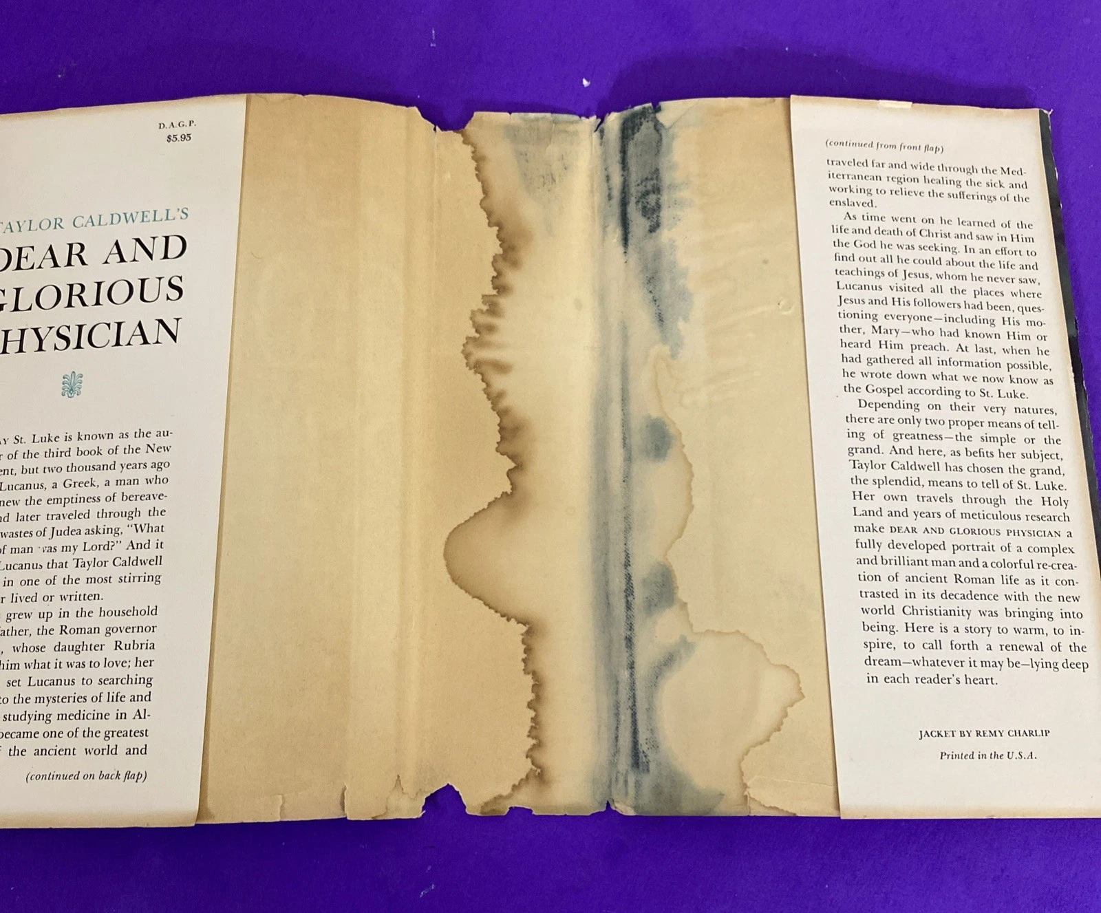 1997 Amazon.com Out of Print Search Service Taylor Caldwell 1959 Book E-Commerce - Image 7