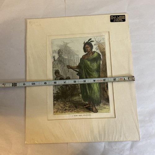 A Maori Chief (Untattooed) Antique Colored Engraving - Image 7