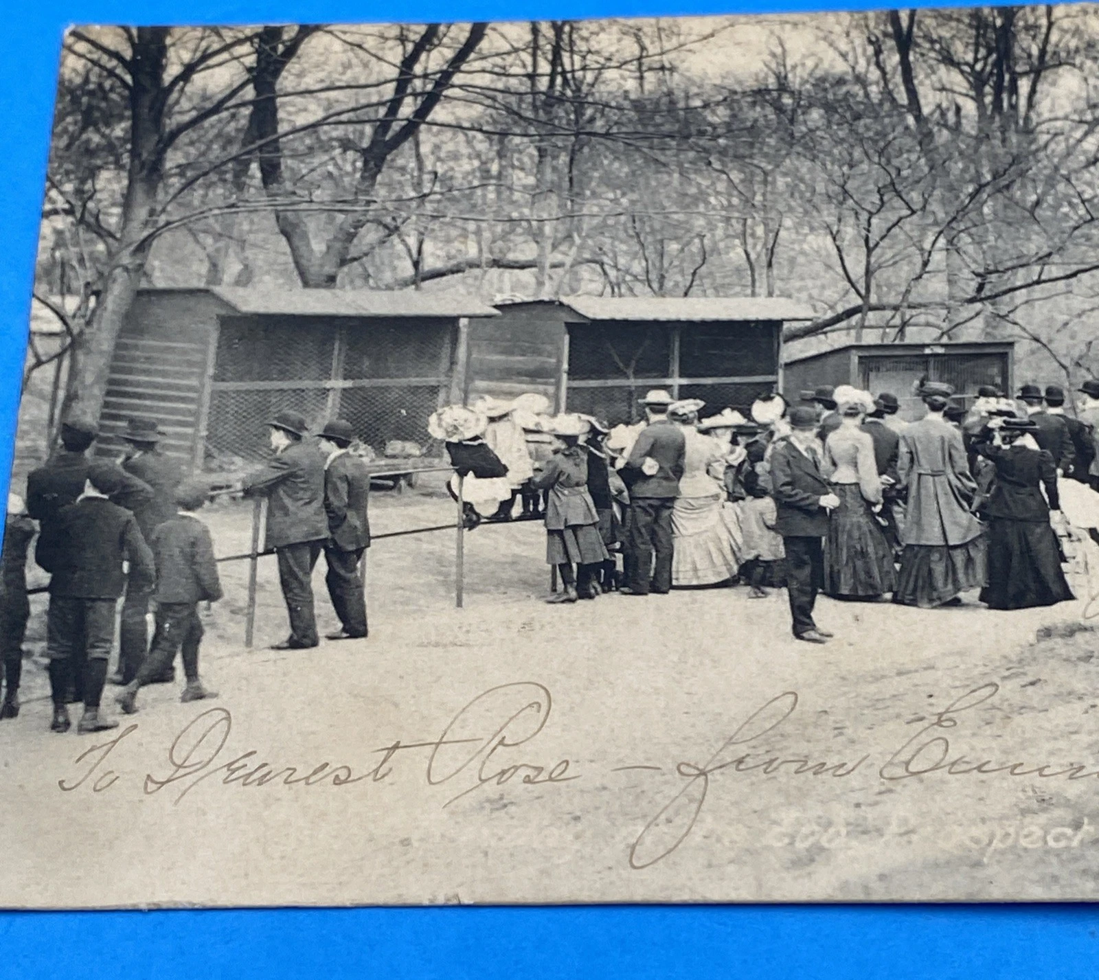 1908 Prospect Park Menagerie Brooklyn NY Rotograph D106 Zoo Postcard 1c Franklin - Image 4
