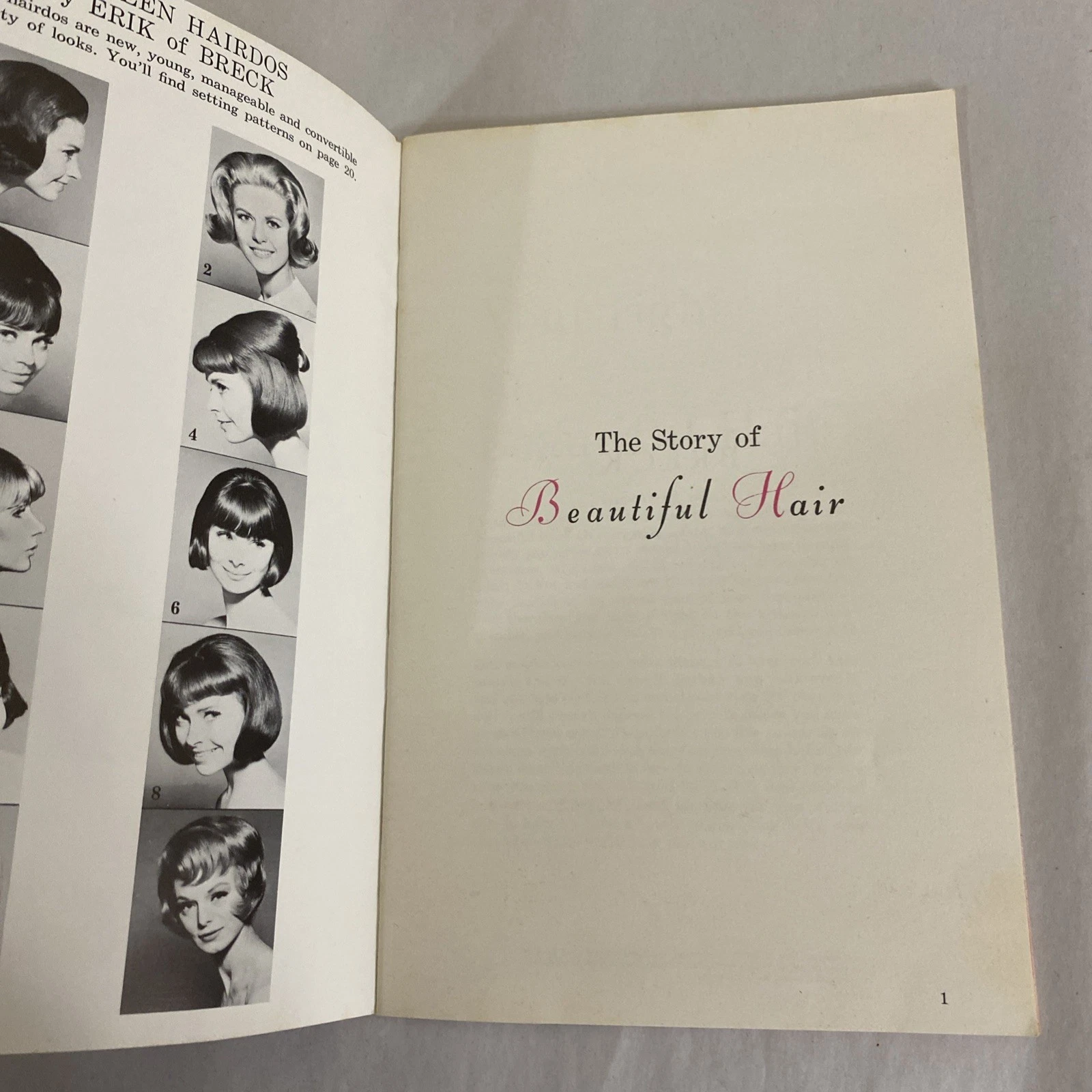 Lot 2 Vintage Breck The Story of Beautiful Hair Booklets + Junior Miss Cover Set - Image 11