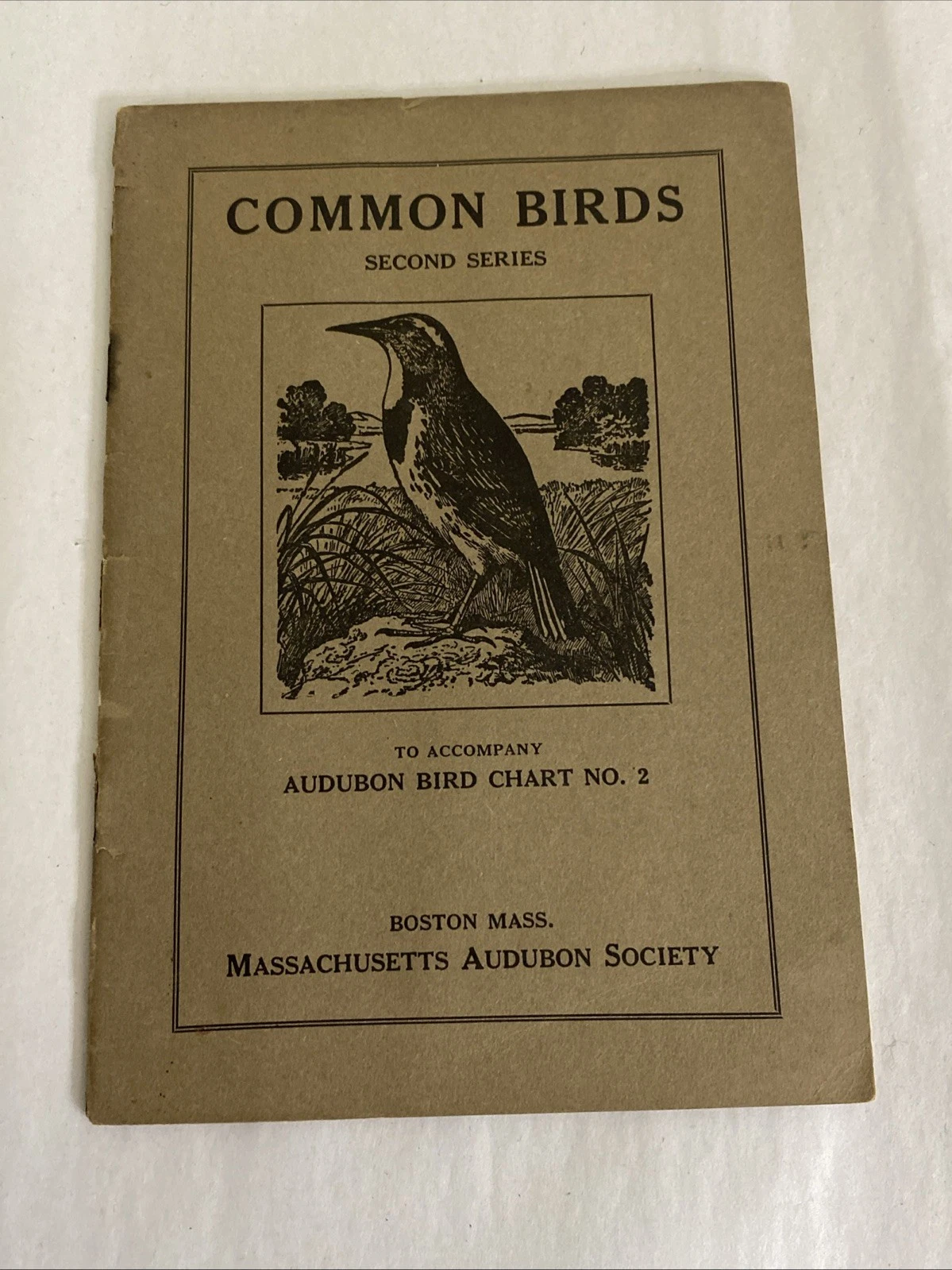 Audubon Common Birds 1st & 2nd Series Ralph Hoffmann Mass Audubon 1920s Lot - Image 8