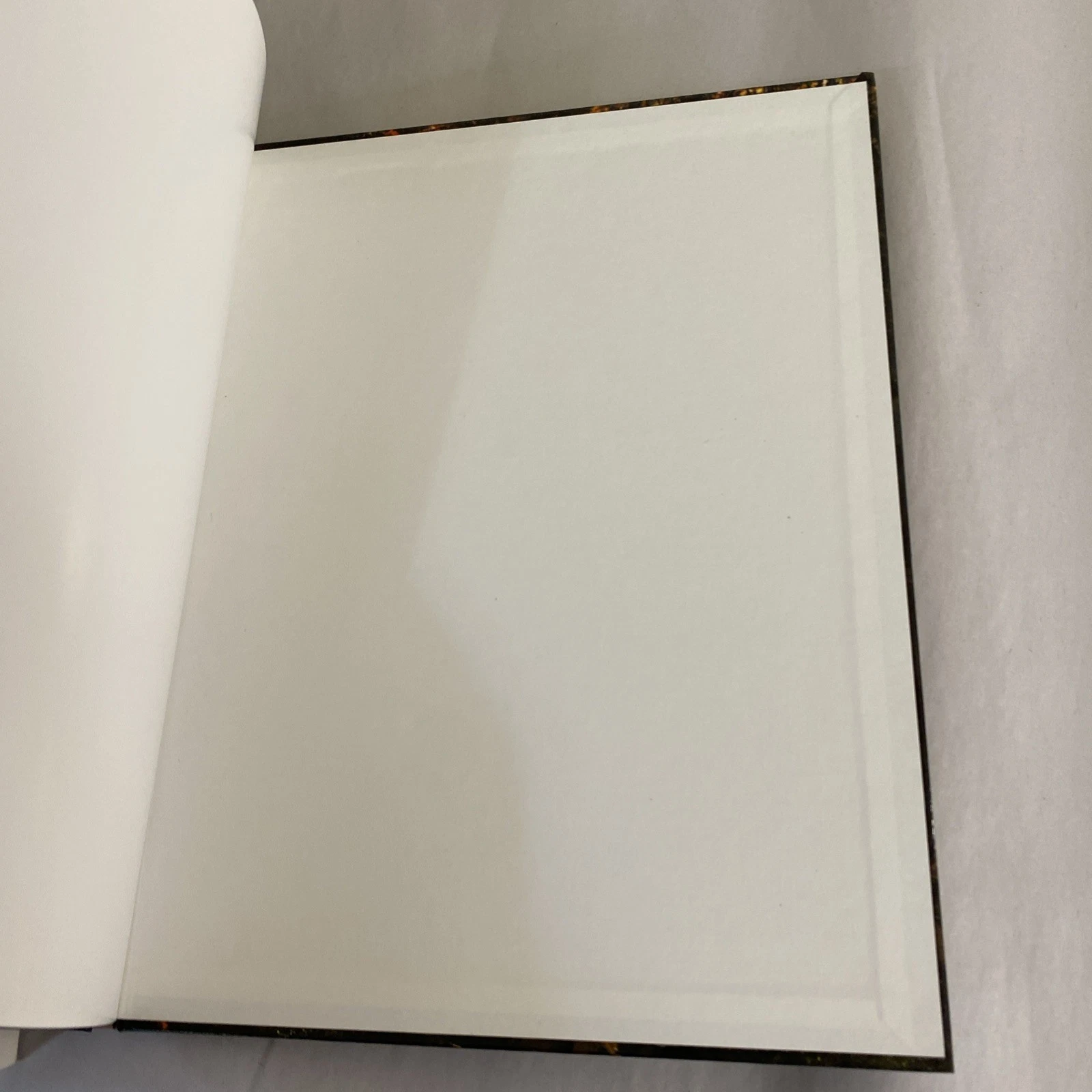 The Fairy Forest: a true story - Inscribed By Barbara Costanza - Hardcover - Image 9