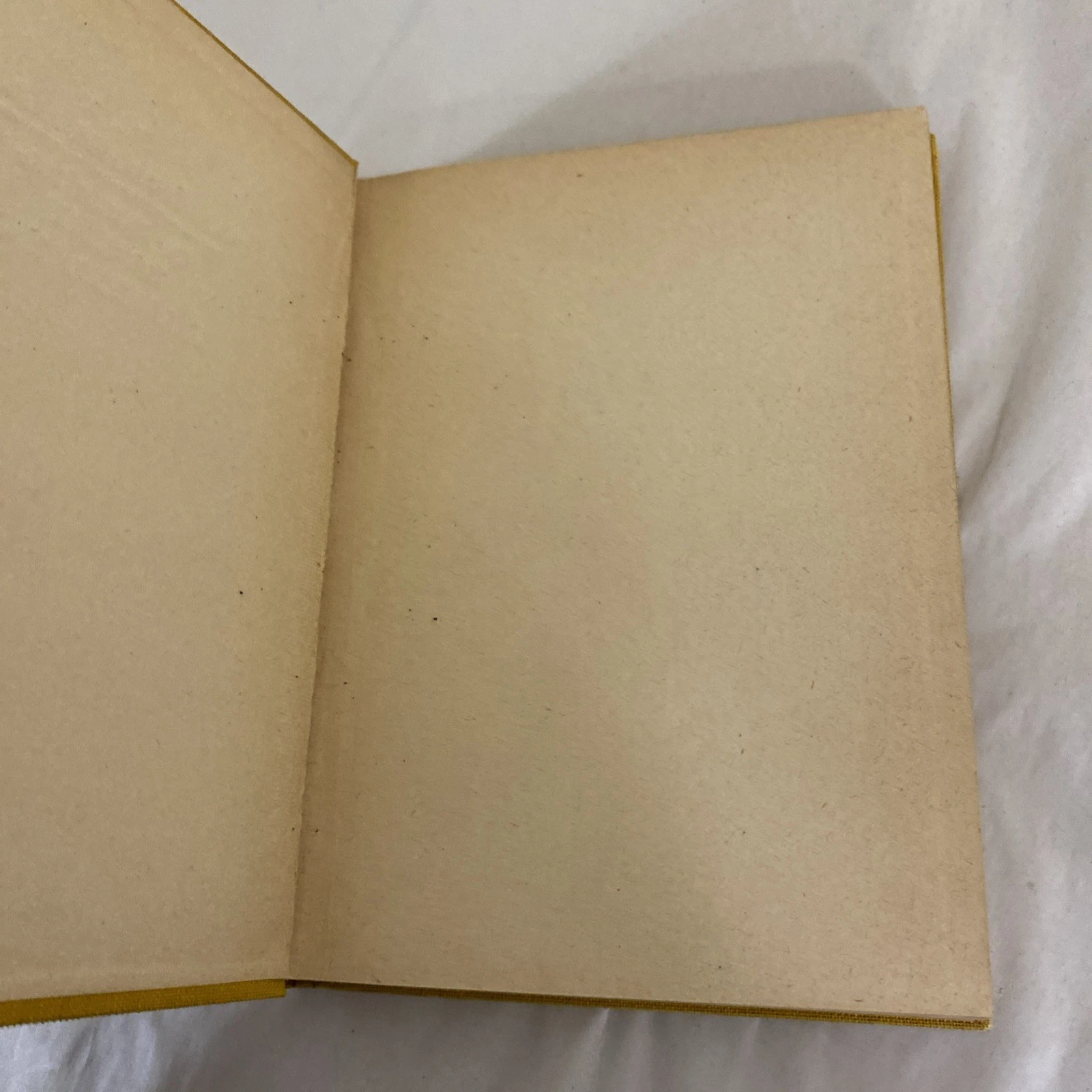1929 80 Let T.G. Masaryka Jaromir Dolezal Czech Book Masaryk Prague - Image 2