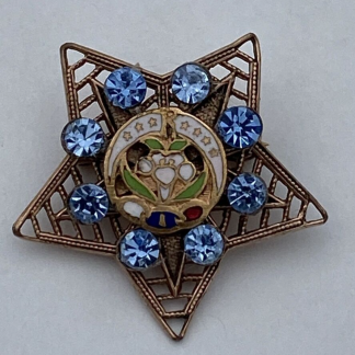 Vintage Eastern Star Women’s Masonic Gold Tone Pin Brooch With Blue Rhinestones