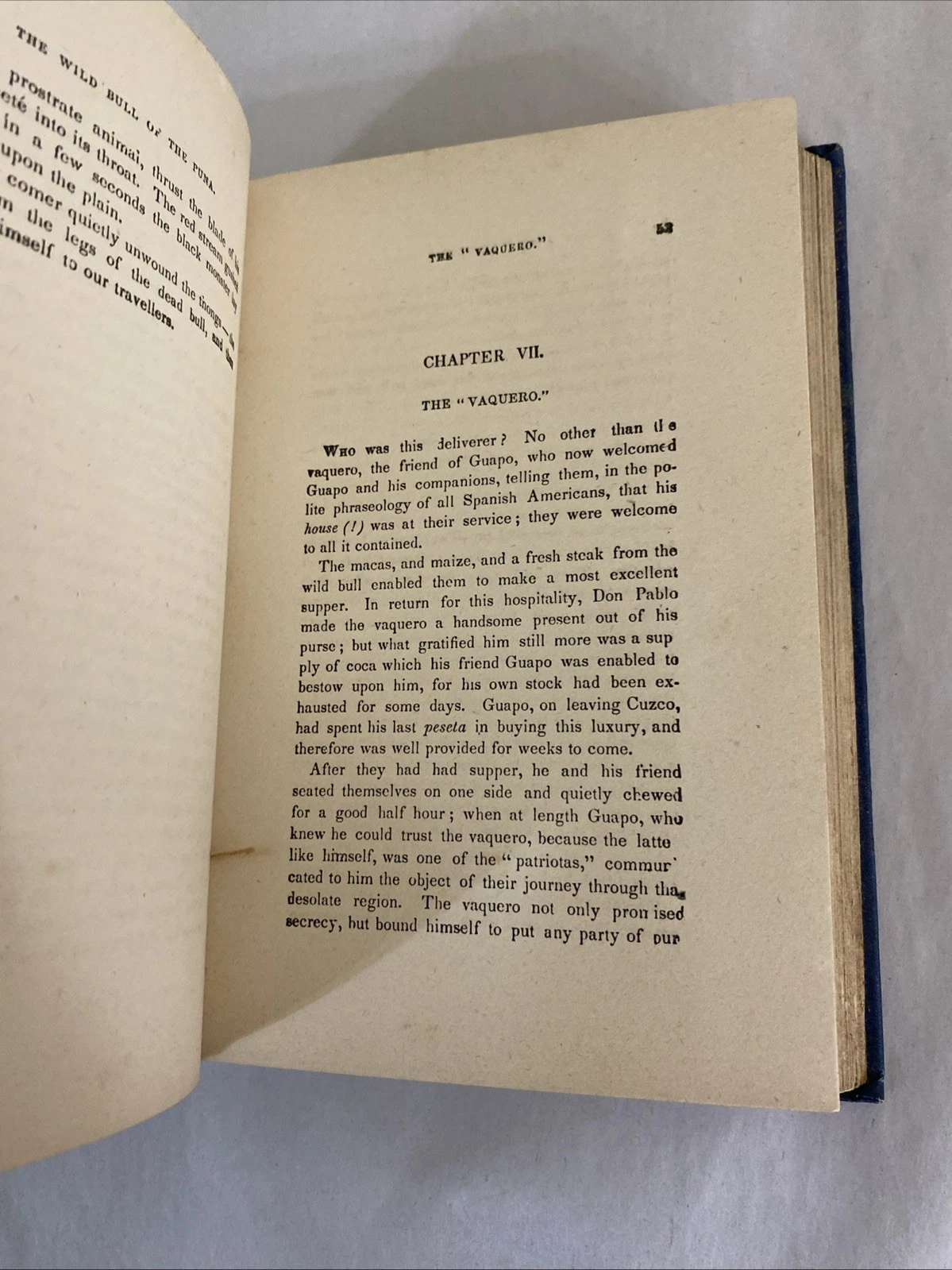 Forest Exiles Mayne Reid 1889 Lovell Victorian blue gilt boys adventure - Image 11
