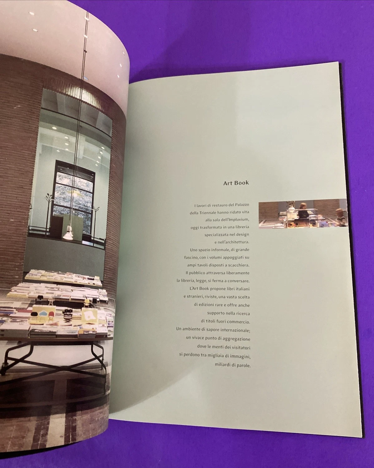 Palazzo della Triennale Brand by Design Milan Mazzotta Art Design Catalog Scarce - Image 7