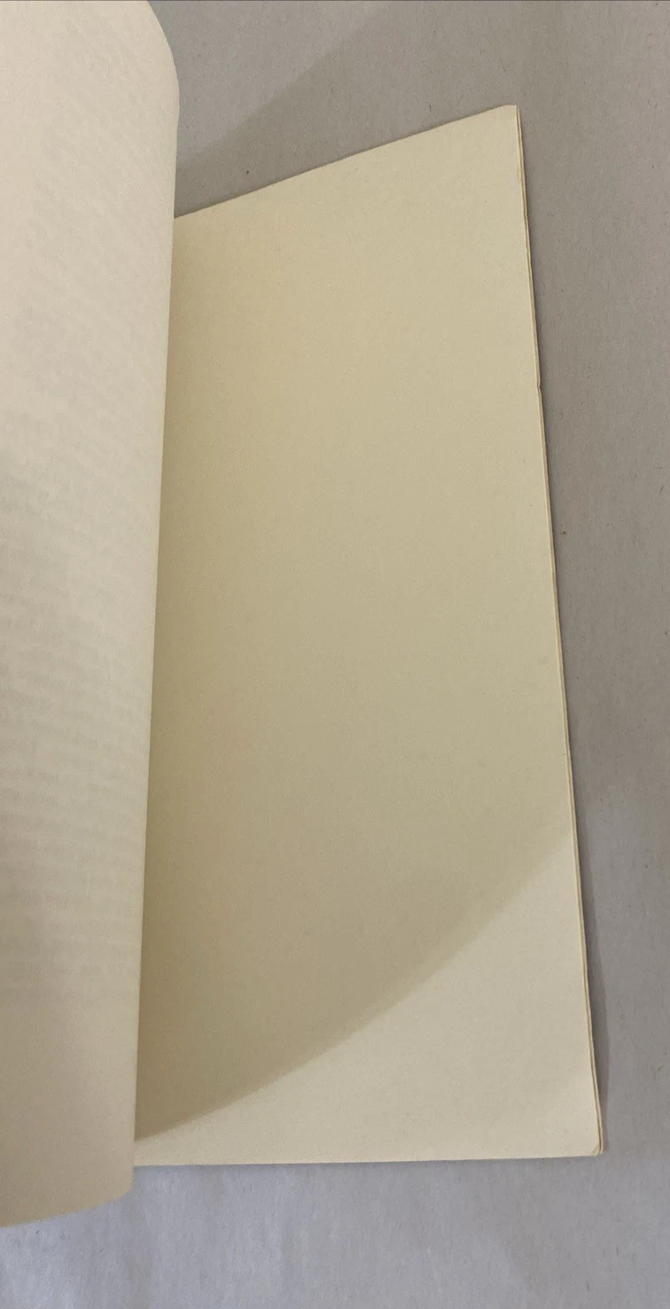 Shamp of the City-Solo by Jaimy Gordon 1980 Signed Softcover Novel Rare - Image 6