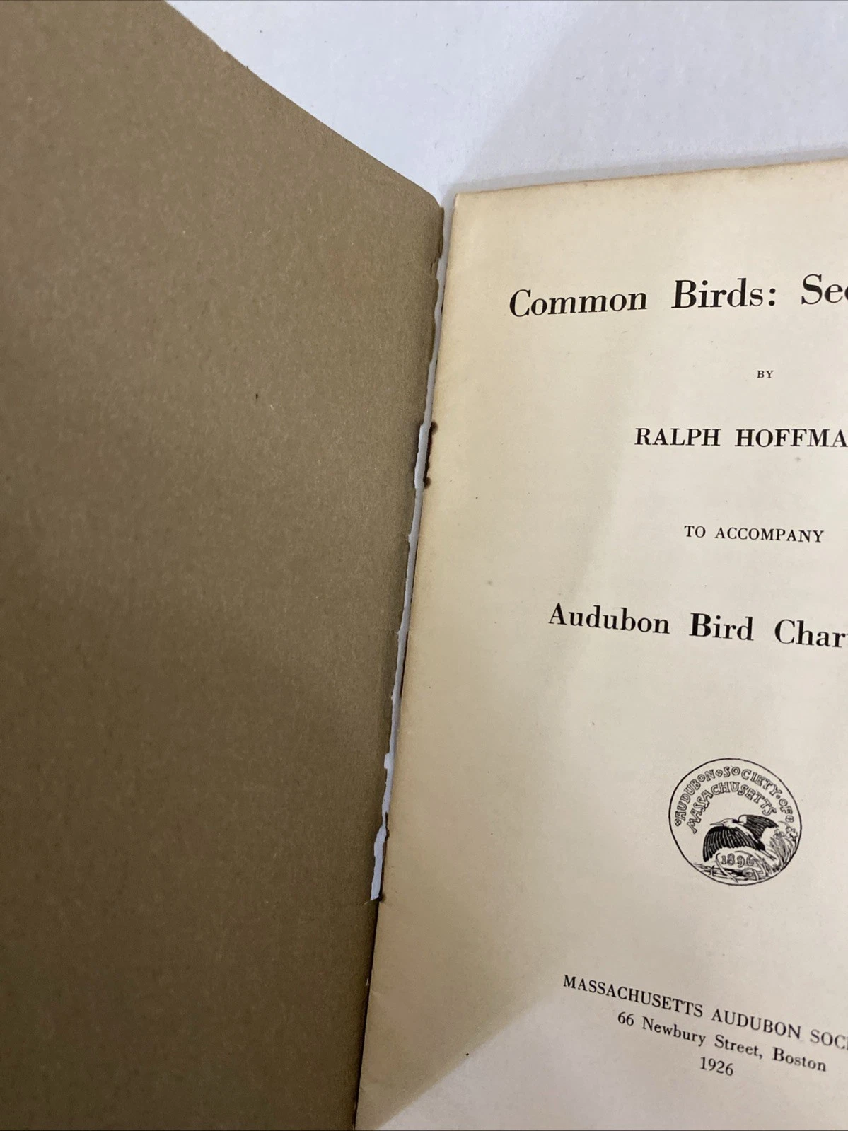 Audubon Common Birds 1st & 2nd Series Ralph Hoffmann Mass Audubon 1920s Lot - Image 12