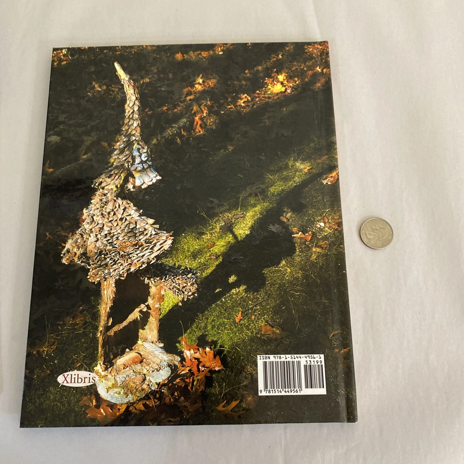 The Fairy Forest: a true story - Inscribed By Barbara Costanza - Hardcover - Image 10