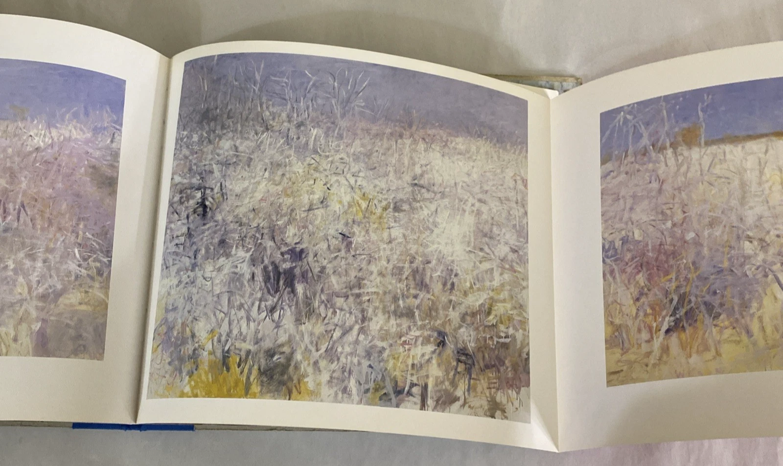 Wolf KAHN / Exhibition catalog Continuity and Change Paintings & Works 1st 2003 - Image 8