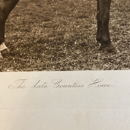 The Late Countess Howe by Hills & Saunders Eton on Horse for Fox Hunt - Image 3