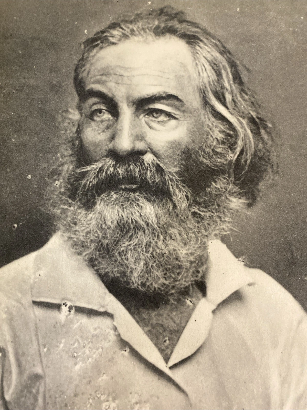 Whitman by Brady + Baudelaire by Nadar Verve 1939 photogravure two-page spread - Image 6