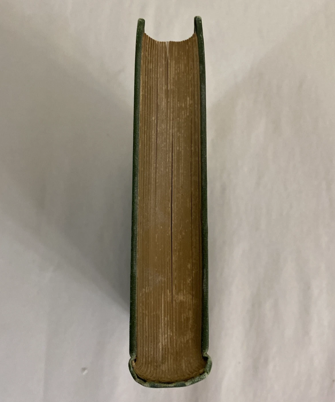 1898 The Franks Story of the Nations Lewis Sergeant Putnam Green Gilt Cloth Book - Image 4