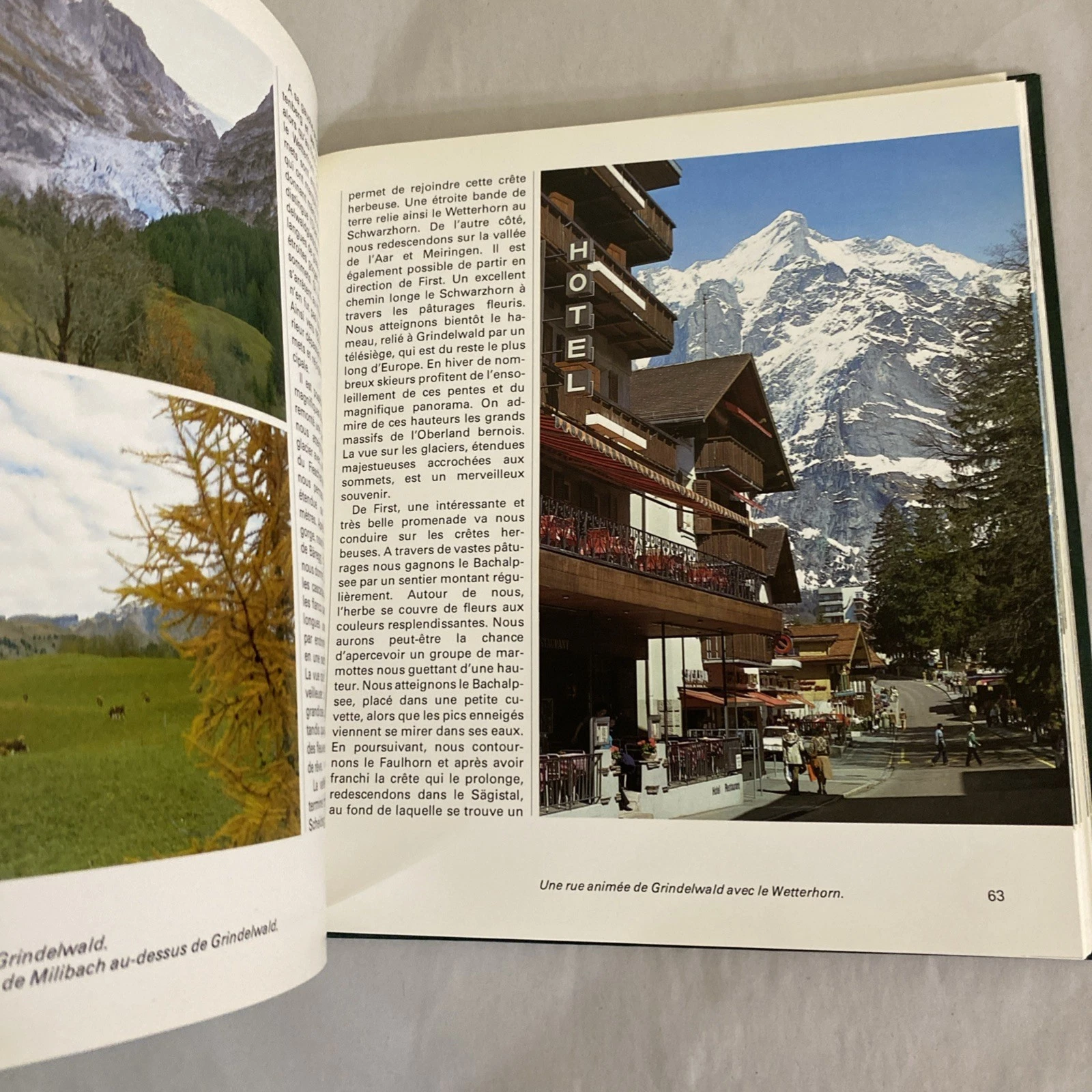 Découverte de la Suisse Vol 11 1983 Christian Lohner Thun Brienz Oberland w/ Map - Image 8