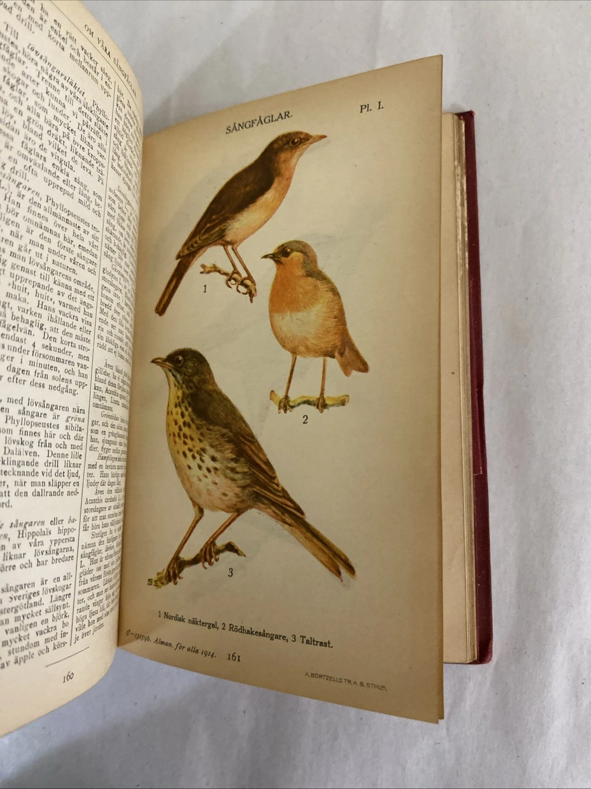 1914 Almanack för alla, Norstedt Stockholm—maps, mushrooms, heraldry, gilt cloth - Image 12