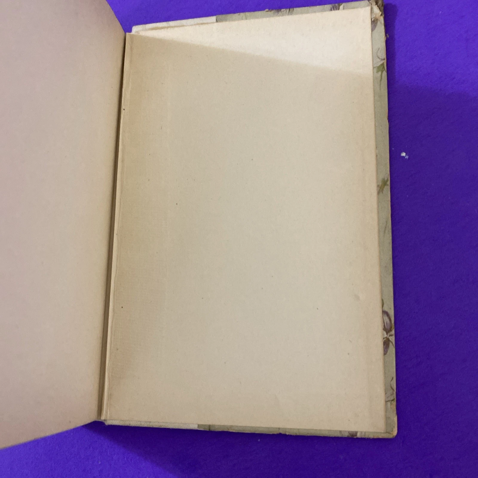 1892-1893 Lady of the Lake Walter Scott Crowell Victorian Floral Gift Binding HC - Image 12