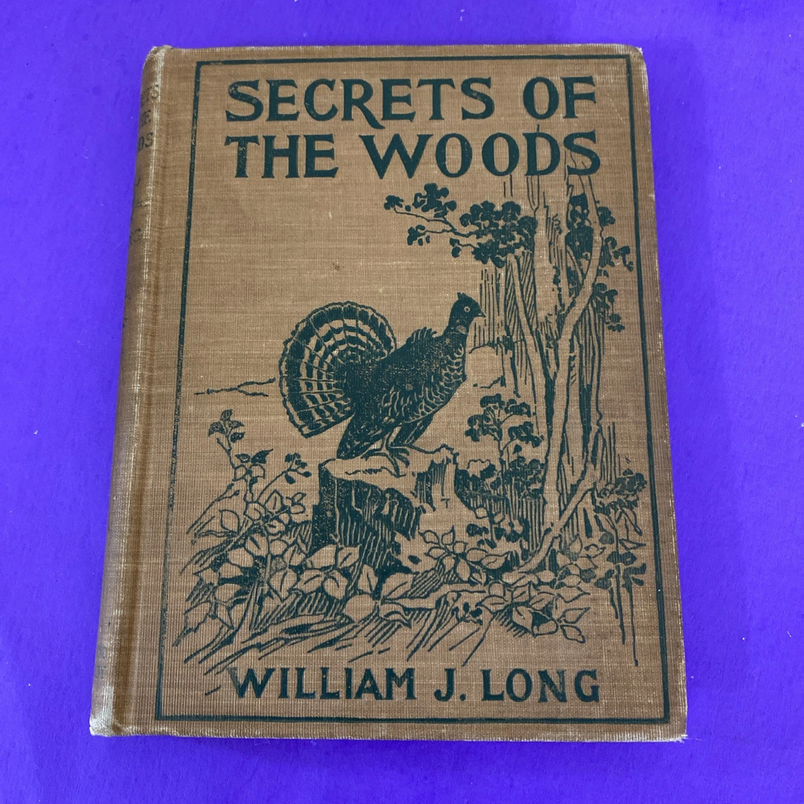 1902 Secrets of the Woods William J Long Charles Copeland Illustrated Antique HC