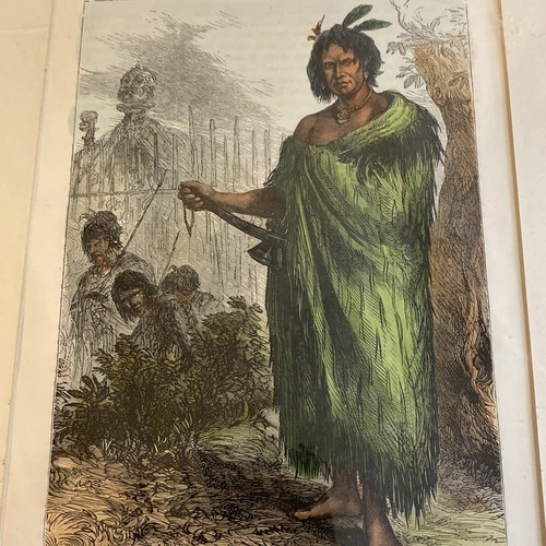 A Maori Chief (Untattooed) Antique Colored Engraving - Image 3