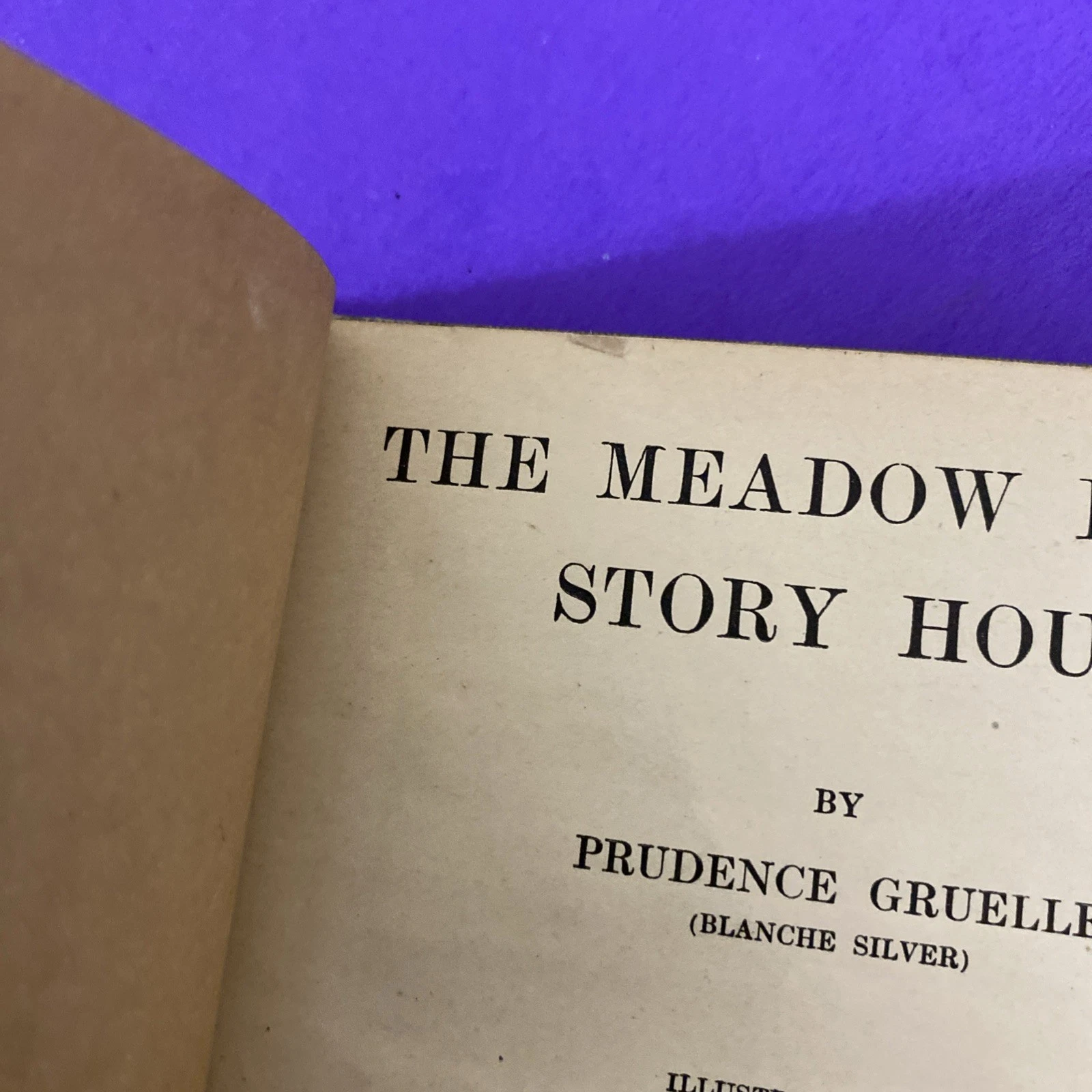Meadow Folks; 1921 century-old; still Very Good+; Illustrated Children’s Tales - Image 9