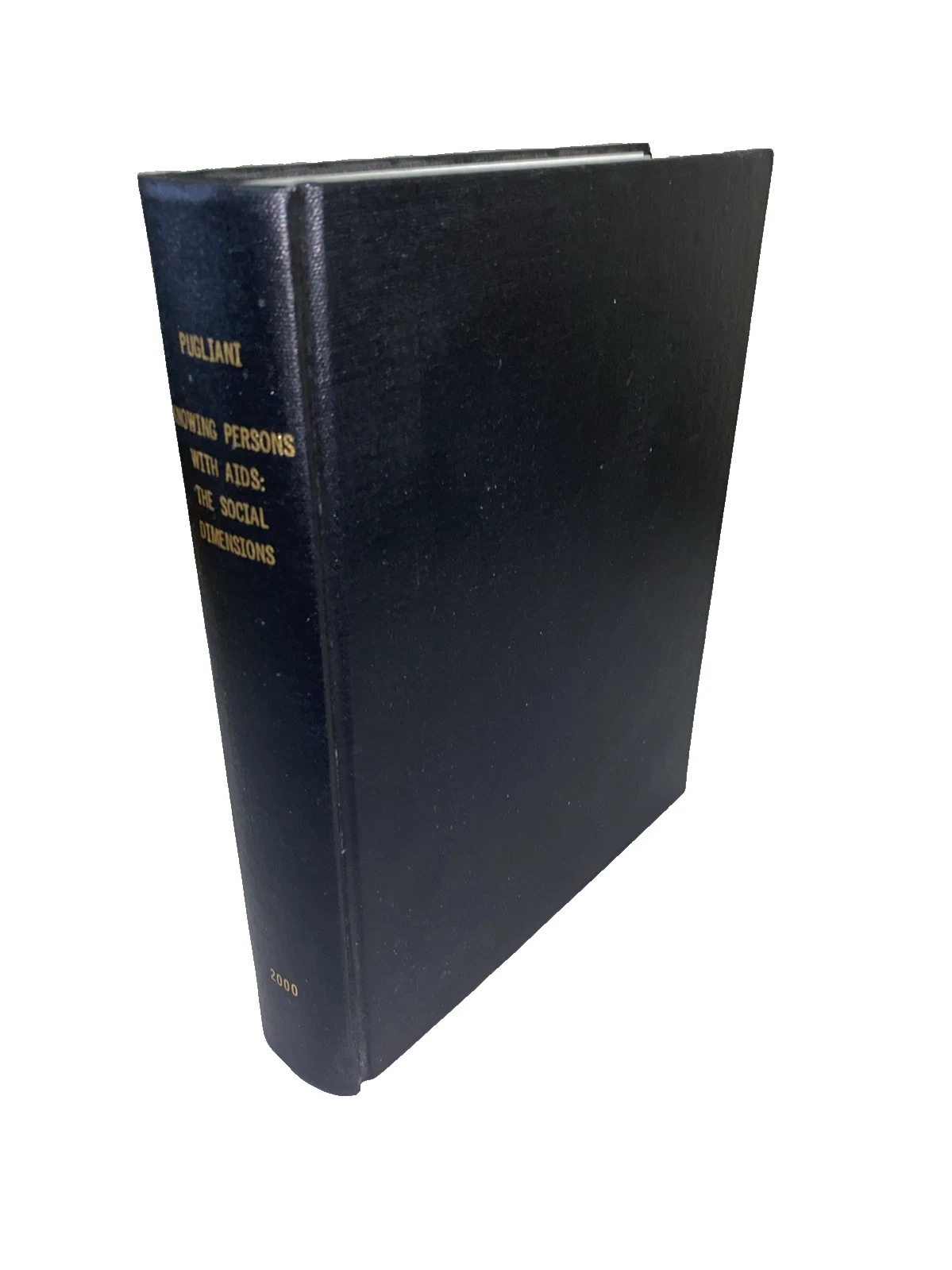 Knowing Persons With AIDS Social Dimensions Pugliani 2000 PhD Diss HC 298p 9x11+