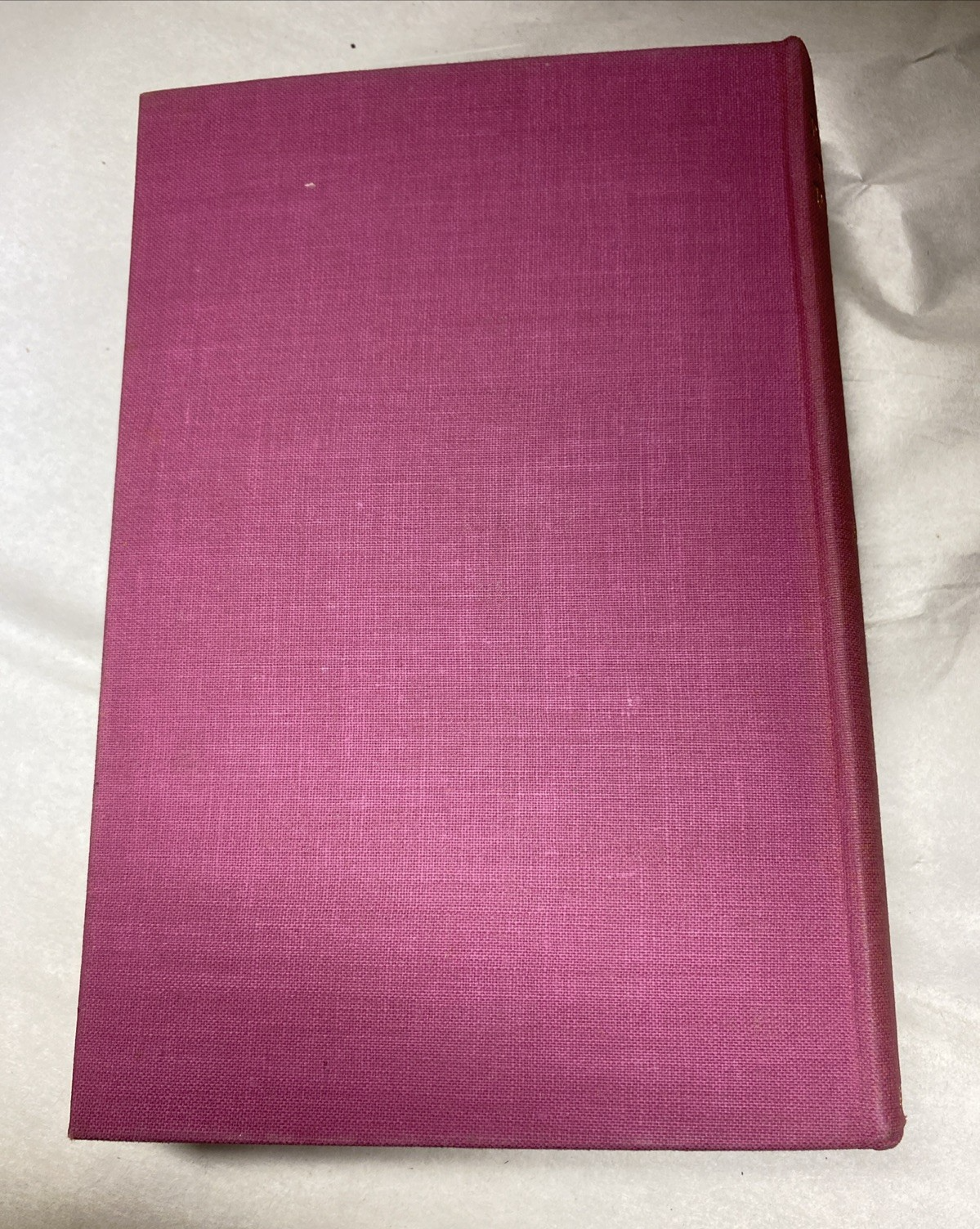 A Bishop To His People 1934 Rev. Peter E. Amigo - Burns, Oates & Washbourne ltd. - Image 10