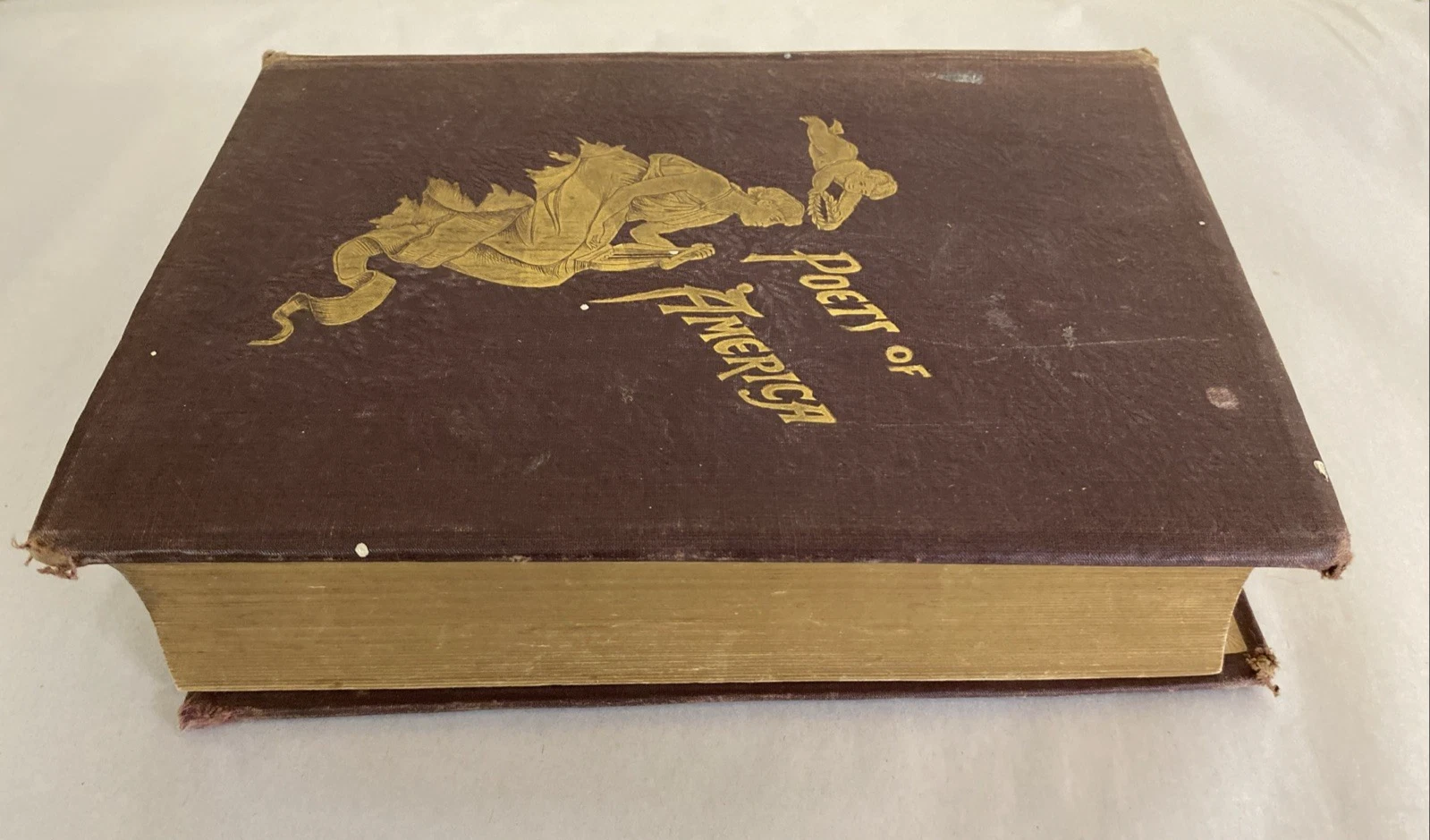1890 Local and National Poets of America Herringshaw gilt edges illustrated book - Image 4