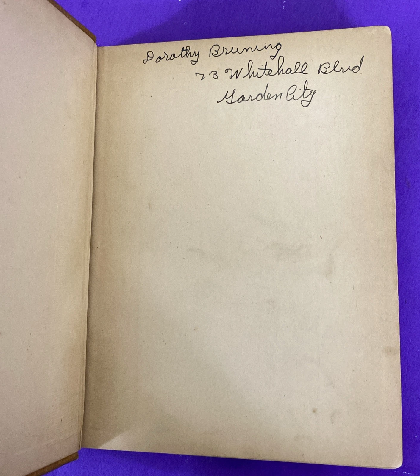1902 Secrets of the Woods William J Long Charles Copeland Illustrated Antique HC - Image 2