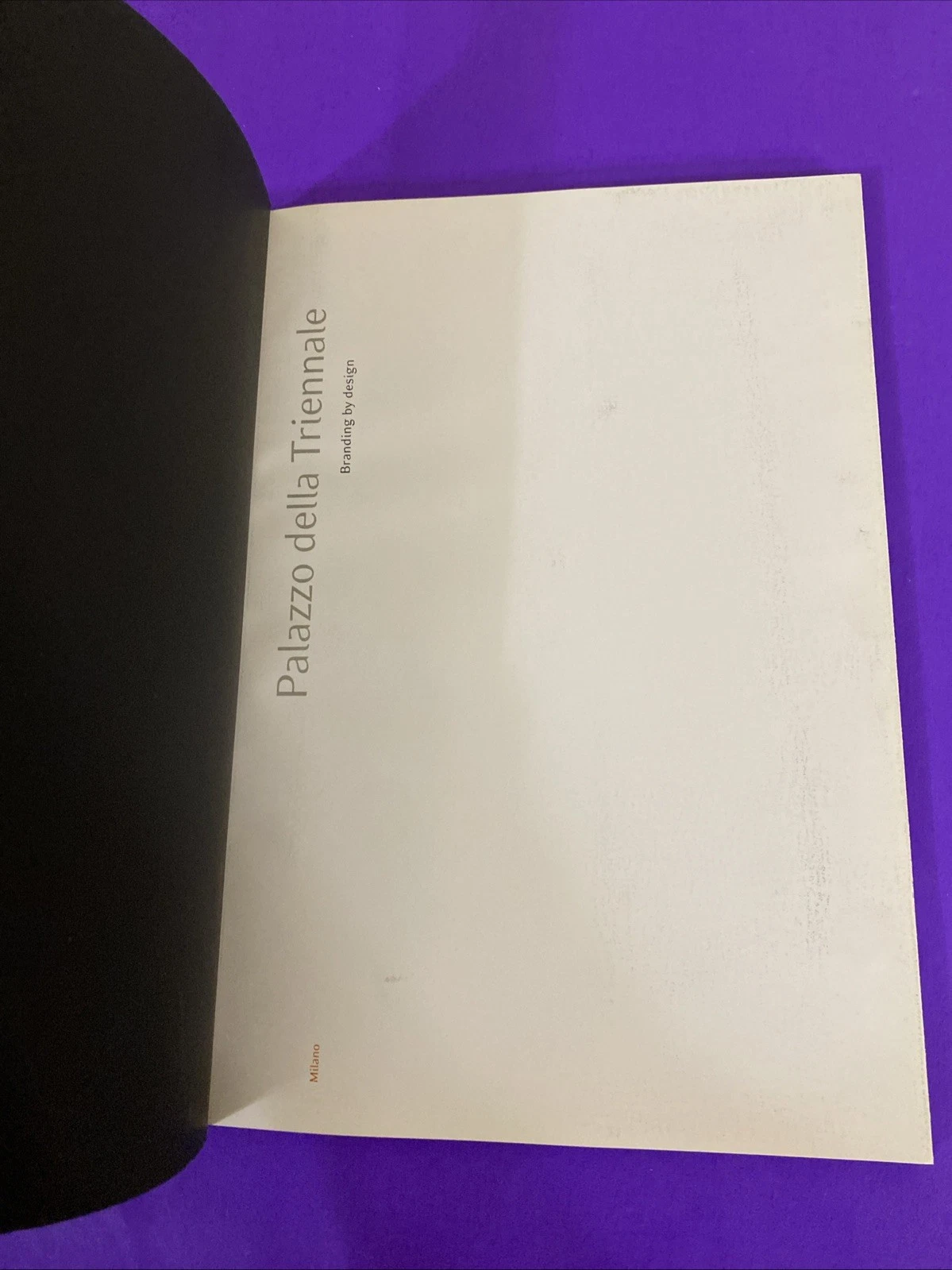 Palazzo della Triennale Brand by Design Milan Mazzotta Art Design Catalog Scarce - Image 3