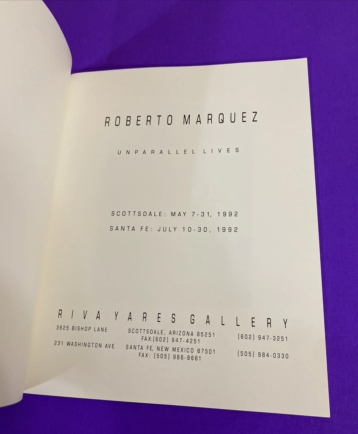 Roberto Marquez Unparallel Lives 1992 Riva Yares Gallery Catalog Santa Fe - Image 2