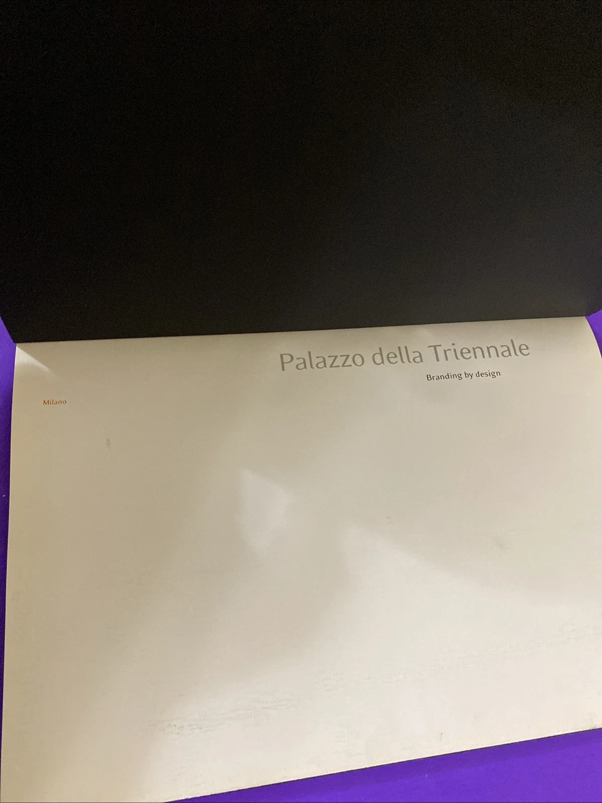 Palazzo della Triennale Brand by Design Milan Mazzotta Art Design Catalog Scarce - Image 4