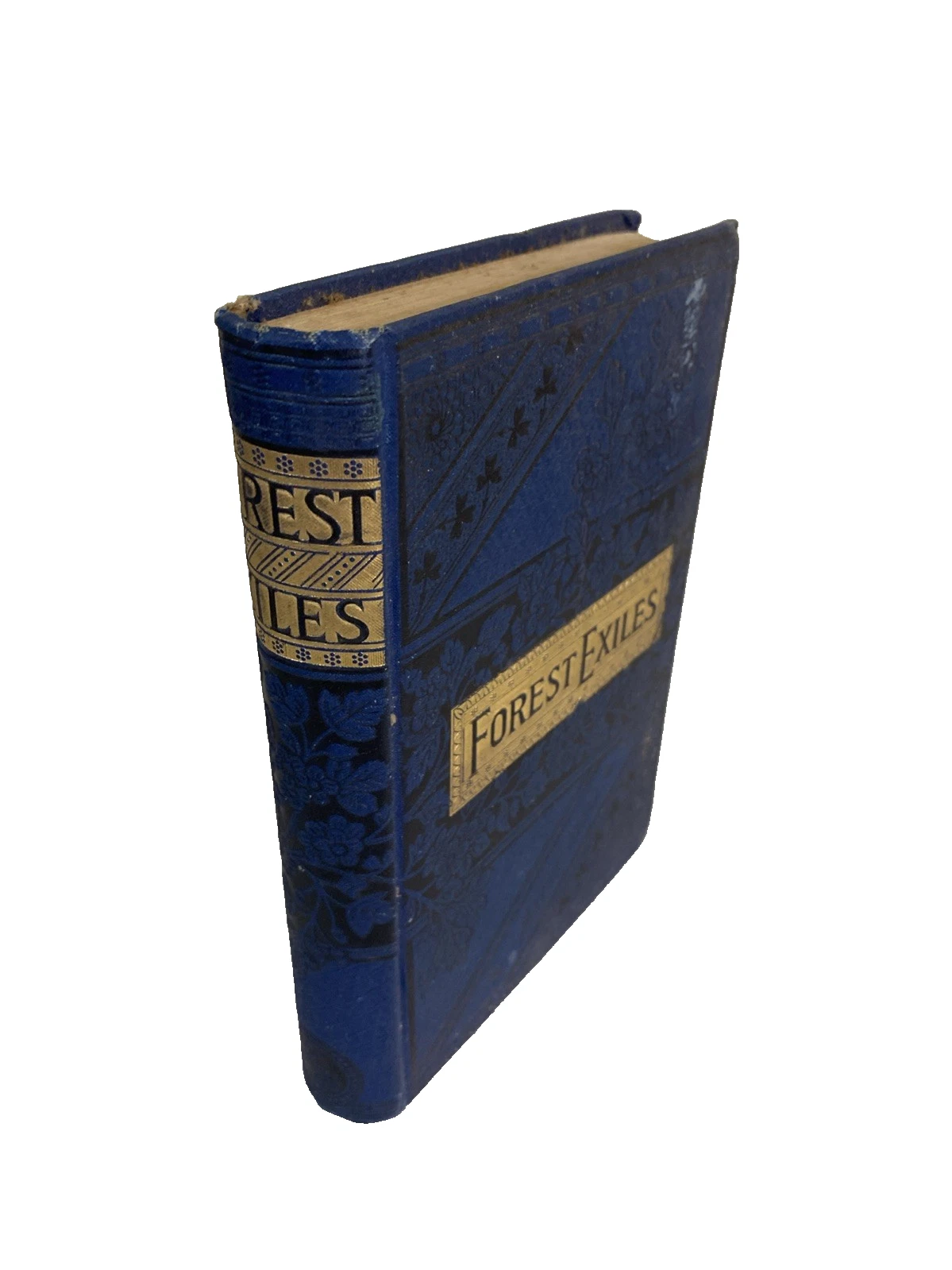 Forest Exiles Mayne Reid 1889 Lovell Victorian blue gilt boys adventure