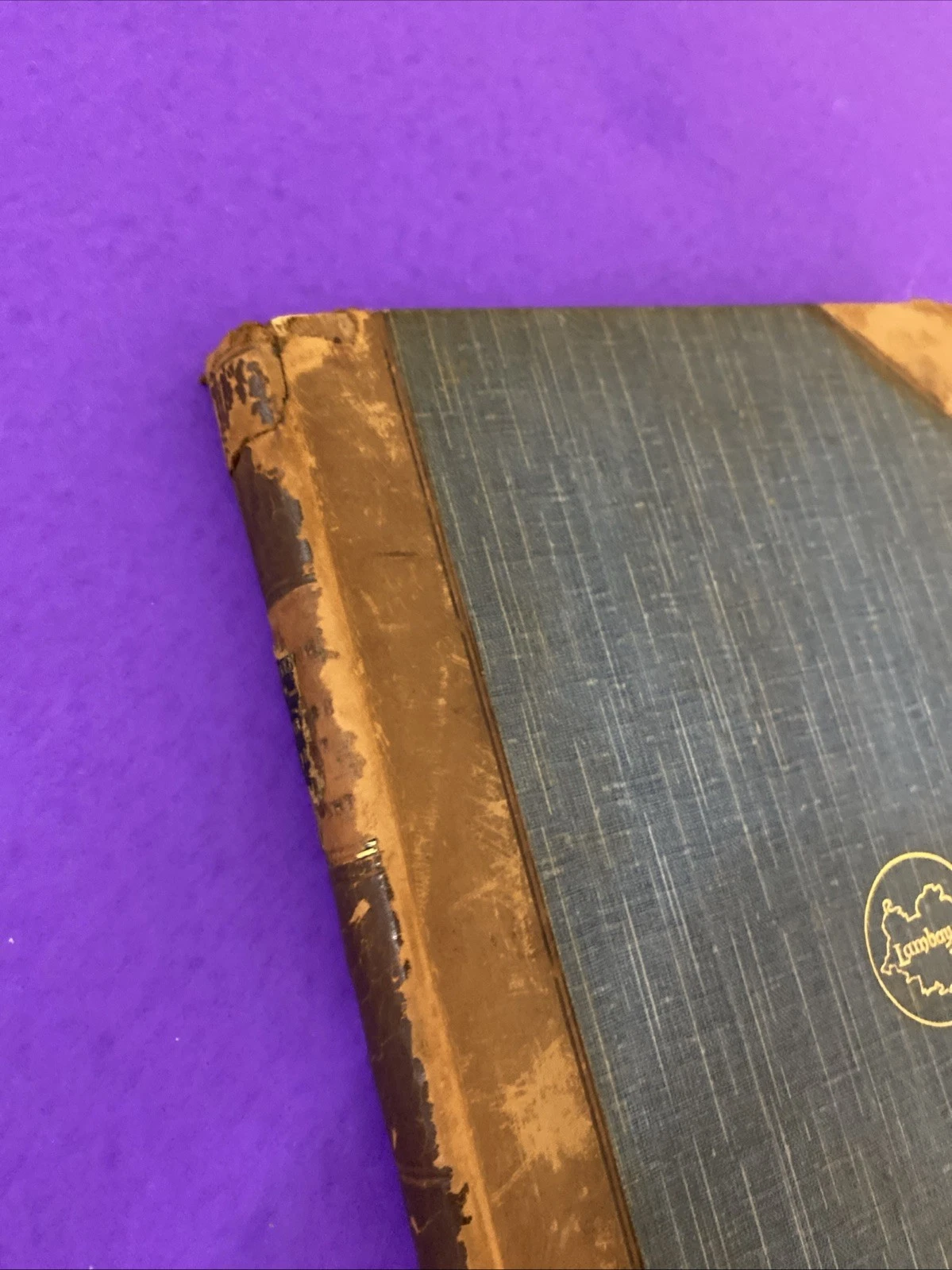c1889 Trench English Past and Present Humboldt Library Half Leather Antique Book - Image 3