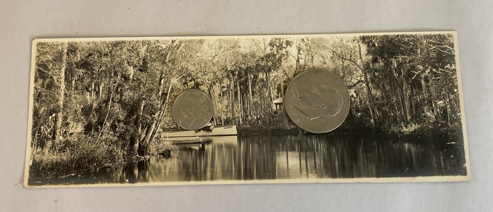 1916 Florida RPPC Set – Parade, Tour Boat, Citrus, Moss Tunnels, Scenic Views - Image 7