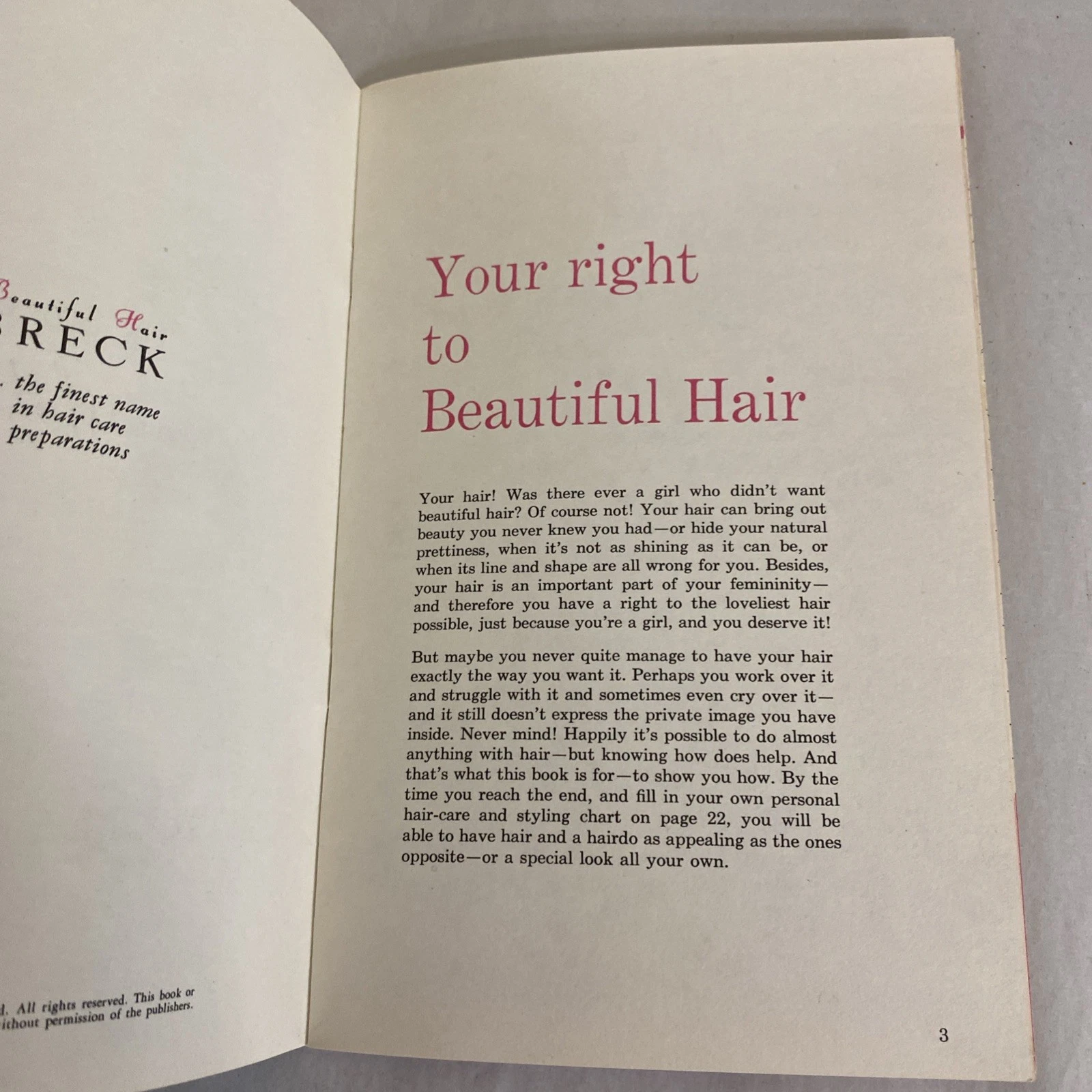 Lot 2 Vintage Breck The Story of Beautiful Hair Booklets + Junior Miss Cover Set - Image 6