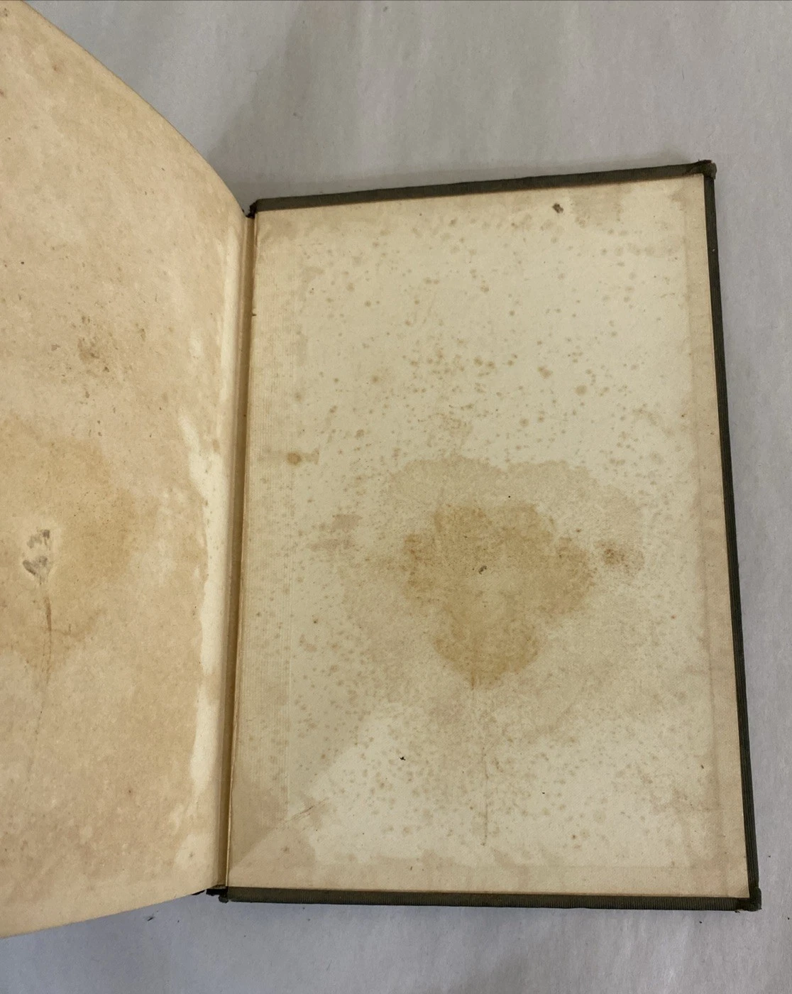 1900 Life of Dwight L Moody by His Son 1st Authorized Illustrated Revell HC Biog - Image 12