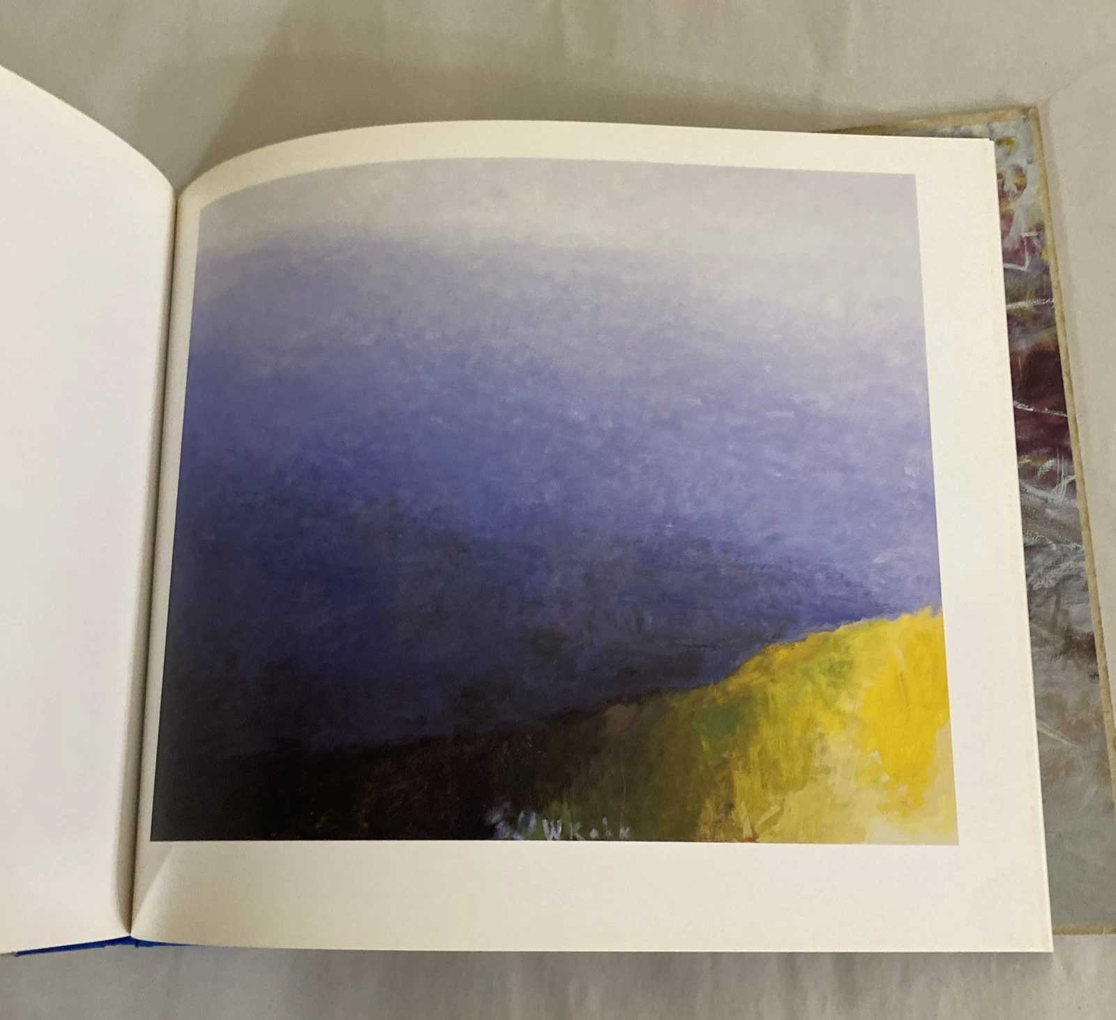Wolf KAHN / Exhibition catalog Continuity and Change Paintings & Works 1st 2003 - Image 9