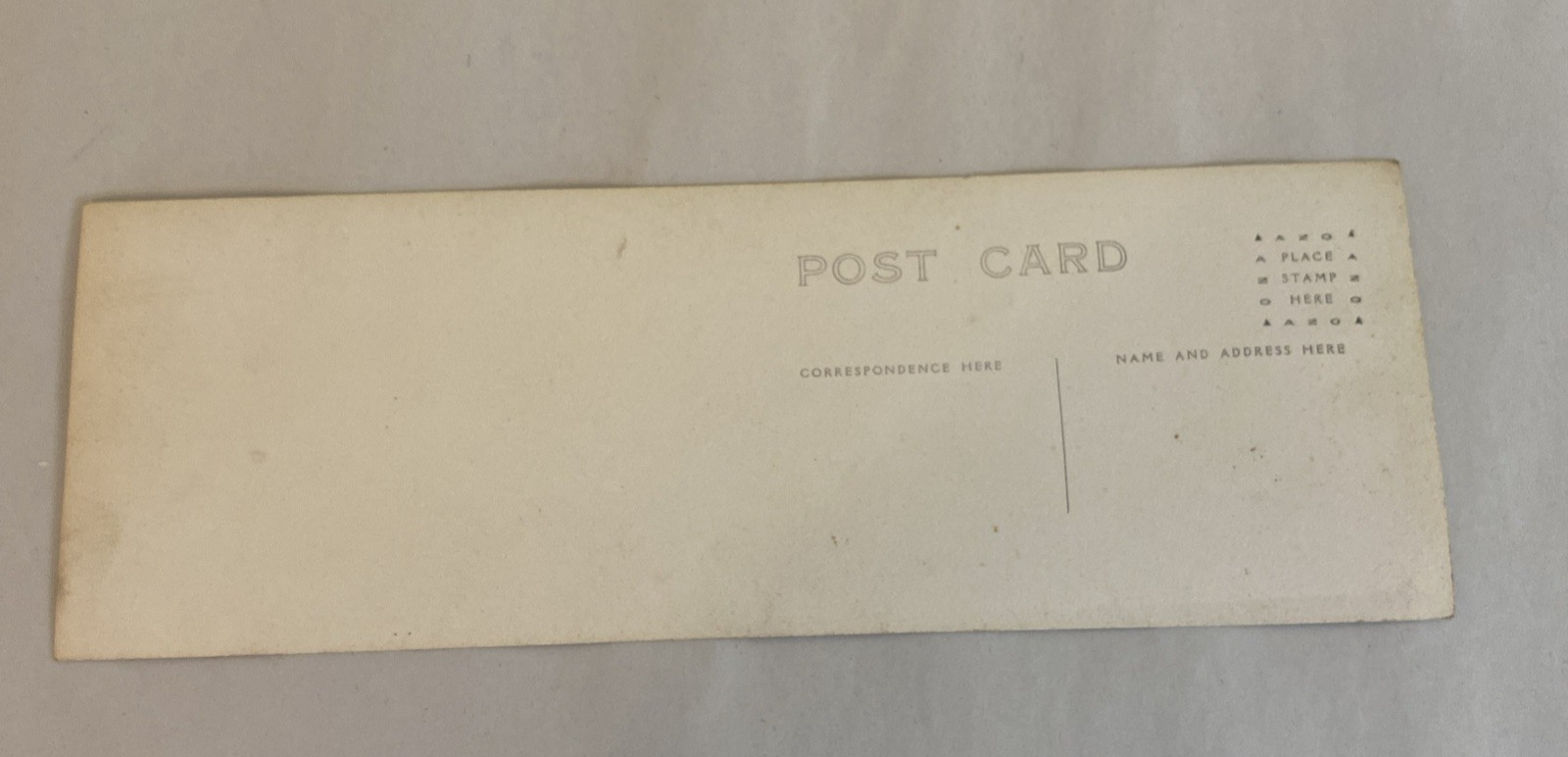 1916 Florida RPPC Set – Parade, Tour Boat, Citrus, Moss Tunnels, Scenic Views - Image 8