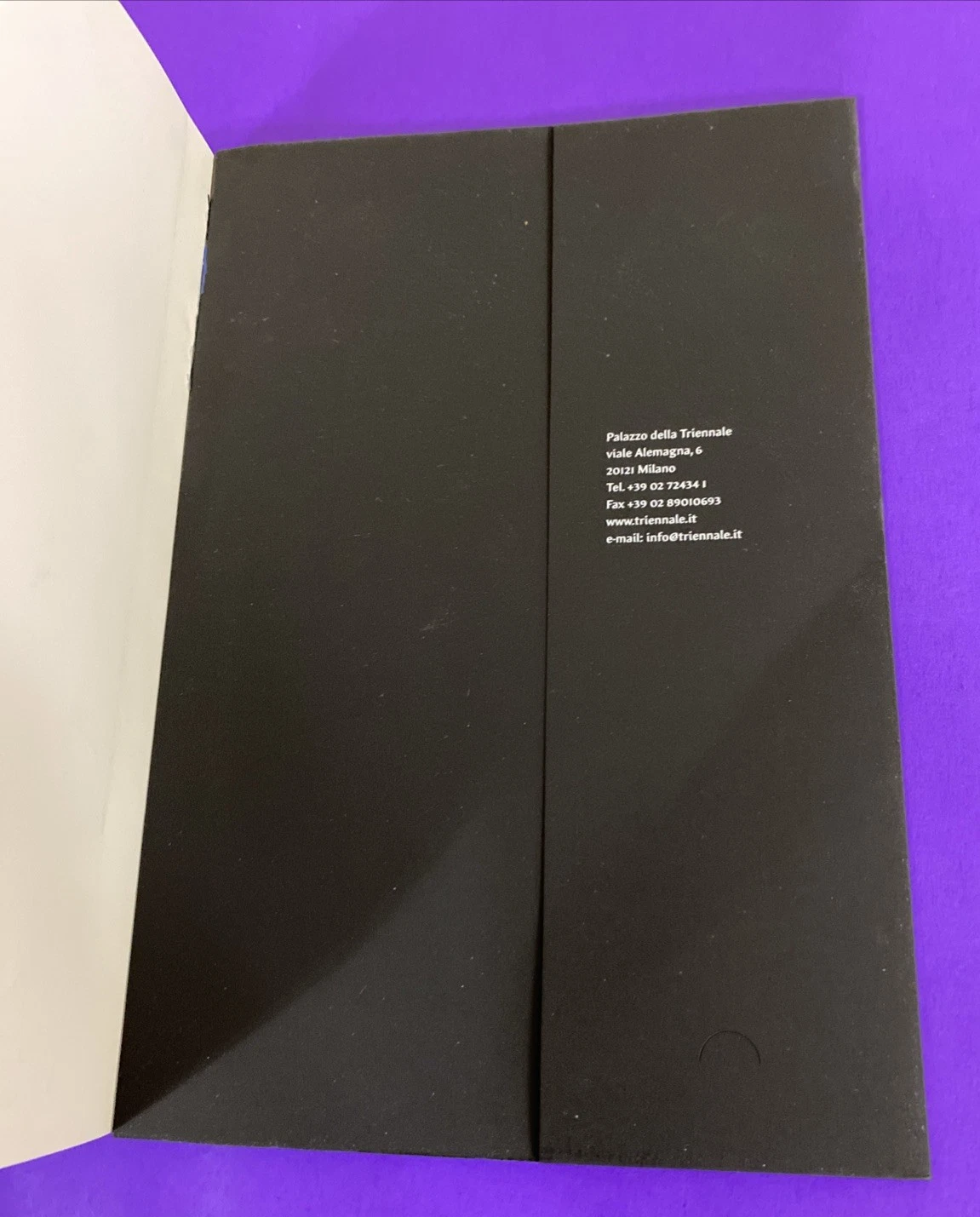 Palazzo della Triennale Brand by Design Milan Mazzotta Art Design Catalog Scarce - Image 9